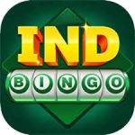 Ind Bingo logo